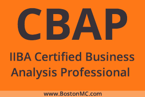 Trustworthy CCBA Exam Torrent