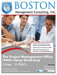 The Project Management Office (PMO)