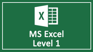 MS Excel Level 1 Course in Dubai