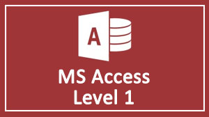 MS Access Training Course in Dubai